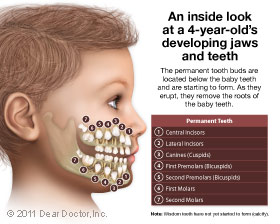 kids-developing-jaws-teeth-thumb